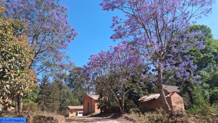 Farbenpracht © A. + M. Koehn bild