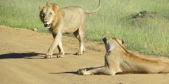 Impressionen aus Tansania - Impressions from Tanzania